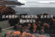 武术世界杯：传统新风貌，武术世界锦标赛冠军