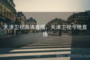 天津卫视高清直播，天津卫视今晚直播