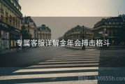 专属客服详解金年会搏击格斗