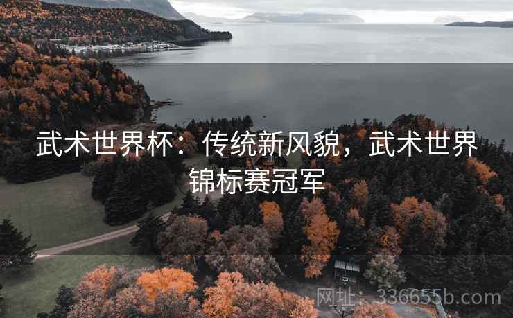 武术世界杯：传统新风貌，武术世界锦标赛冠军
