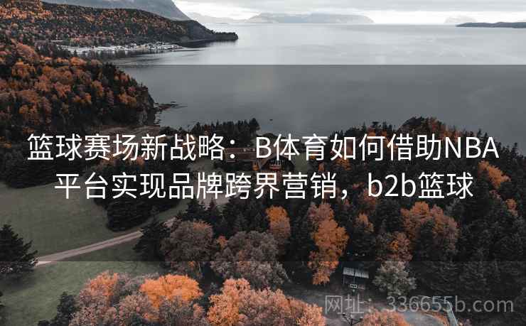 篮球赛场新战略：B体育如何借助NBA平台实现品牌跨界营销，b2b篮球