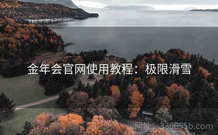 金年会官网使用教程：极限滑雪