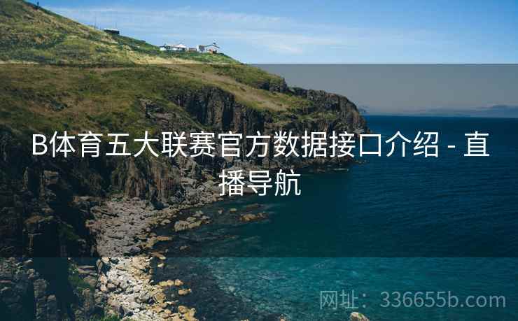 B体育五大联赛官方数据接口介绍 - 直播导航
