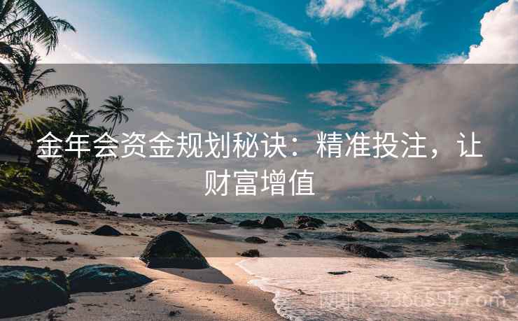 金年会资金规划秘诀：精准投注，让财富增值