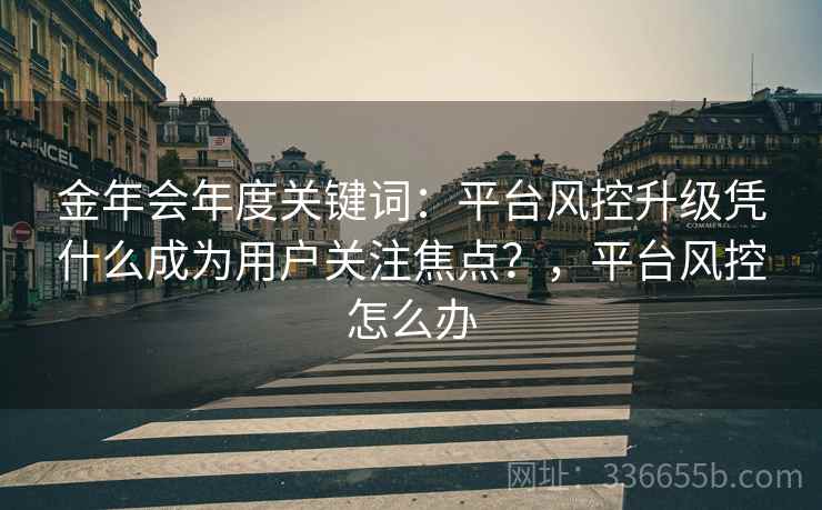 金年会年度关键词：平台风控升级凭什么成为用户关注焦点？，平台风控怎么办