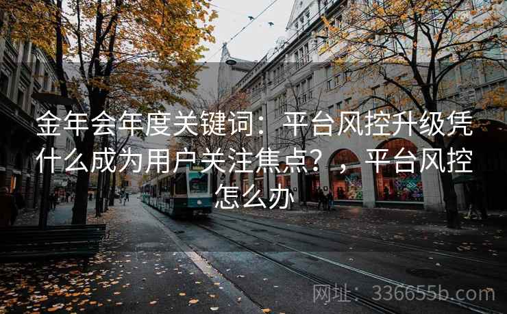 金年会年度关键词：平台风控升级凭什么成为用户关注焦点？，平台风控怎么办